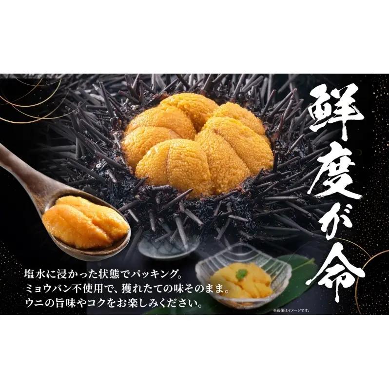 ミョウバン不使用 塩水 ウニ100g 2パック 7月下旬頃までお届け  [水揚げ後 順次出荷]  キタムラサキウニ うに ウニ 雲丹 ムラサキウニ 北海道産 魚貝 魚介 海鮮 海産 小川商店 送料無料