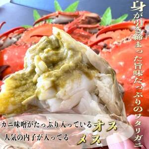 岬だより 見た目 訳あり 味は遜色なし! 天然 ボイル ワタリガニ(オス・メス)2kg[8杯前後] [配送不可地域：離島]
