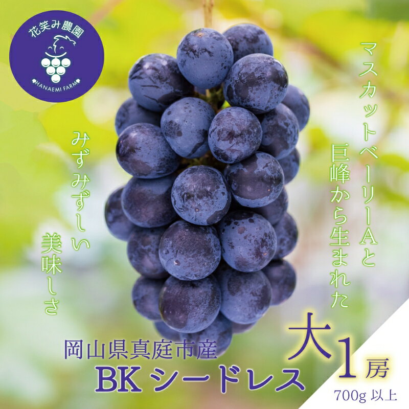 【ふるさと納税】 岡山　花笑み農園の『BKシードレス』700g以上(大1房)　B-大1　hana52【2025年9月中旬〜順次発送】【配送不可地域：離島】真庭 国産 産地直送 フルーツ 葡萄 ぶどう ブドウ 果物 贈答 ギフト 濃厚 種なし 甘い 数量限定 先行予約 おすすめ 【1596650】