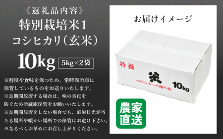 【令和5年産】コシヒカリ 玄米 5kg×2袋（計10kg） 特別栽培米 農薬不使用 化学肥料不使用 ／ 高品質 鮮度抜群 福井県産 ブランド米 あわら