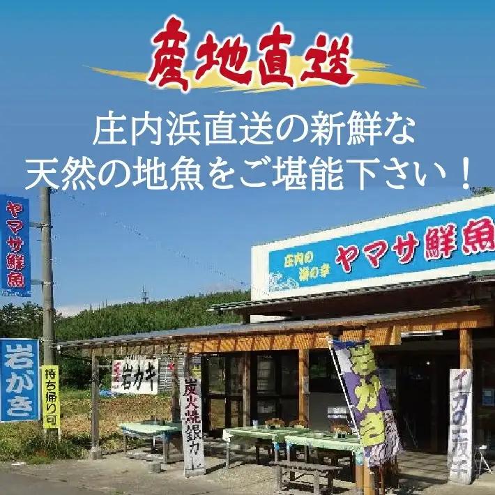 地魚おまかせセット 4～5種類入り 計1.7kg以上 冷蔵便 ※着日指定・離島（沖縄県を含む）への発送不可 東北 山形県 遊佐町 庄内地方 鮮魚 詰合せ 産地直送 新鮮 [1620]