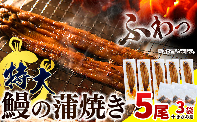 
            うなぎ 国産 蒲焼 特大 1尾あたり約175g以上 × 5尾 きざみうなぎ 30g × 3袋 付き《3-7営業日以内に出荷予定(土日祝除く)》
          