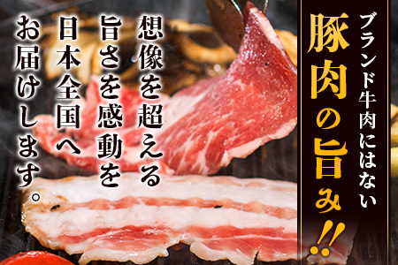 アグー豚(F1種) 南ぬ豚　焼肉用ロース200g+バラ200g　E-35