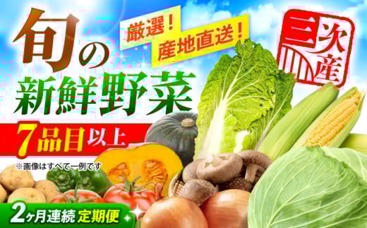 【全2回定期便】野菜 厳選！農夫のお野菜セット 旬の野菜 7品目以上 詰め合わせ 野菜セット 新鮮 食材 定期便 旬 野菜 新鮮 食材 栄養 産地直送 広島県産 特産品 産地直送 お取り寄せ 贈り物 ギフト 贈答品 絶品 銘品 三次グルメ 三次市/布野特産センター [APBA014]