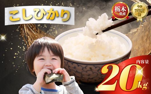 コシヒカリ20kg（5kg×4袋) | 米 こめ コメ kome 白米 精米 お米 こしひかり ｺｼﾋｶﾘ 栃木米 令和7年度米 令和7年度 2025年度米 2025年度 ブランド米 栃木県 特産品 送料無料 【栃木県共通返礼品】 栃木県 下野市 しもつけ市