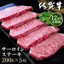 【ふるさと納税】【12カ月定期便】佐賀牛 サーロインステーキ 200g×5枚(計60枚)【佐賀牛 サーロインステーキ サーロイン ステーキ肉 濃厚 サシ 美味しい 絶品 やわらか クリスマス パーティー イベント お祝い ブランド肉 定期便 12か月定期】 O-R030325