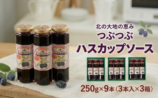 
                  つぶつぶハスカップソース 250g×9本 ギフトセット ＜北の大地の恵み＞ 北海道産
                