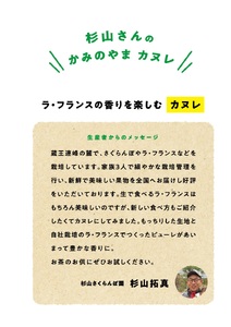 山形県上山市ラ・フランスをたっぷり練りこんだ果樹園のカヌレ　１０個　0044-2312