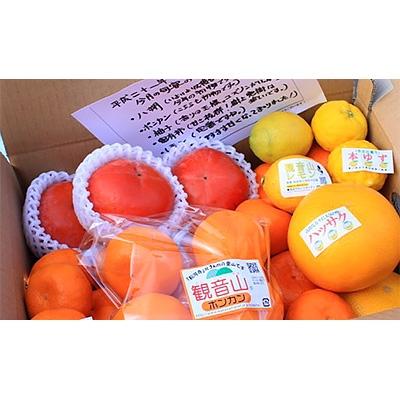 ふるさと納税 紀の川市 観音山フルーツ詰め合わせ(シルバー)約3kg