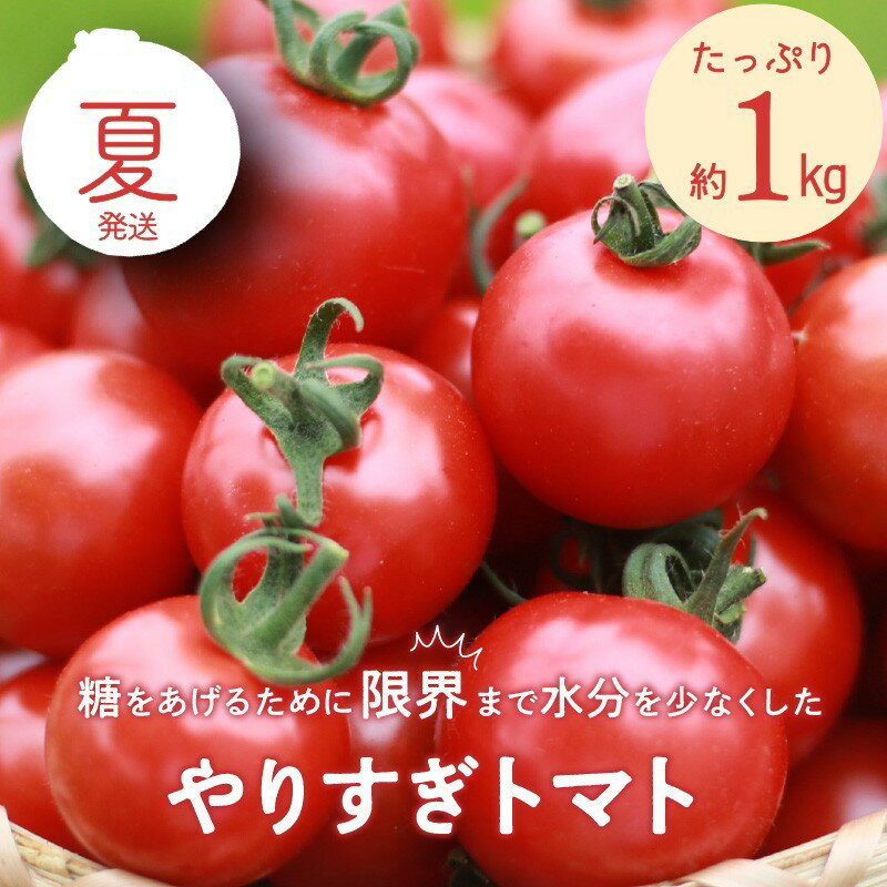 【ふるさと納税】【先行予約】やりすぎトマト（4パック計約1kg）（夏季）（2026年6月上旬以降発送） ふるさと納税 トマト 国産 ミニトマト ミディトマト プチトマト お野菜 野菜 とまと アスリート トマト 高糖度 甘い 濃縮 濃厚 トマトスープ 健康 リコピン おすすめ 人気