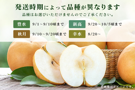 石岡のおいしい梨3kg  A39-001