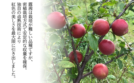 梅農園ジャム 100g×3個 | 梅ジャム 無添加 渡部有機農園