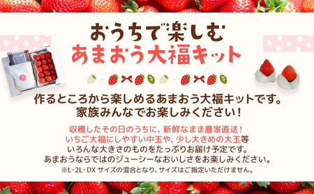 あまおう大福手作りキット（あまおう1パック）　BD14