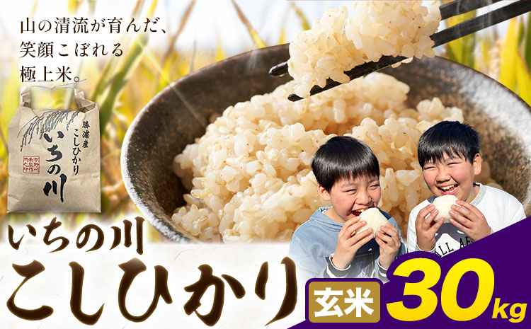 米 こめ コメ 令和7年産 いちの川 コシヒカリ 玄米 30kg 市野川米製作所 《30日以内に出荷予定(土日祝除く)》米 ご飯 こしひかり---kastuura_iks_9_30kg---