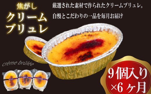 6ヶ月 定期便 濃厚 焦がしクリームブリュレ 9個 冷凍 アイス プリン カタラーナ スイーツ デザート 卵 お菓子 洋菓子 焼き菓子 氷菓子 ギフト おやつ キャラメル ミルク個 牛乳 生クリーム 