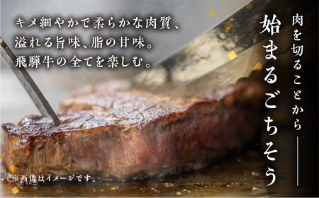 A5 飛騨牛3回定期便 トキノ屋食品