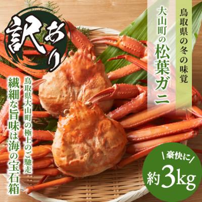 ふるさと納税 伯耆町 【2027年1月以降順次発送】[冷凍]訳あり松葉ガニ約3kg詰め合わせ　OM-14-2