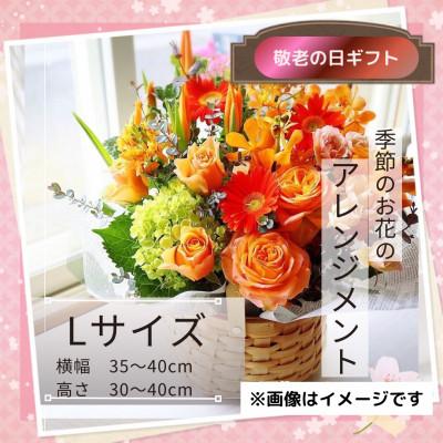 ふるさと納税 筑西市 【敬老の日】フラワーアンジメント/L〜花瓶不要!届いてそのまま飾れるフラワーアレンジ