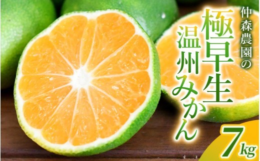 【数量限定】みかん 仲森農園の極早生温州みかん 約7kg | みかん ミカン 蜜柑 温州みかん 温州ミカン 柑橘 フルーツ 果物 くだもの 甘い 旬 人気 果汁 濃厚 ジューシー デザート 産地直送 農家直送 みかん 国産 お取り寄せ 新鮮 期間限定 季節限定 先行予約 おすすめ 三重県 熊野市【2026年9月下旬頃～10月下旬頃に順次発送】【nkmr0017】