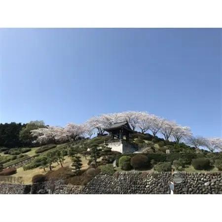 西多摩霊園　墓地購入(契約)のご利用券(600,000円分)【1515920】