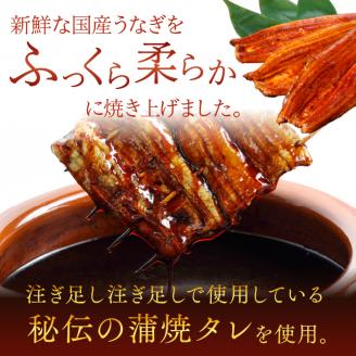 AD-103　やわらか新仔うなぎ食べ切りサイズ100～120g　5尾　計500ｇ以上