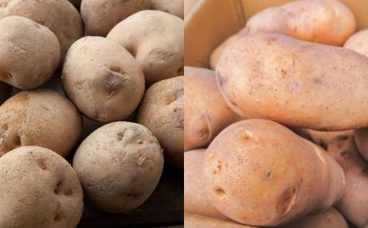 
厚沢部産　メークイン約2.5kgとキタアカリ約2.5kgセット 計約5kg【Ｌ・2Lサイズ】 【 ふるさと納税 人気 おすすめ ランキング じゃがいも ジャガイモ メークイン キタアカリ カレー コロッケ 煮物 じゃがバター ポテトサラダ 甘い 北海道 厚沢部 送料無料 】 ASO037
