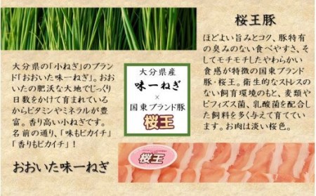 1969R_大分県産味一ねぎ×国東市ブランド桜王豚のねぎしゃぶセット