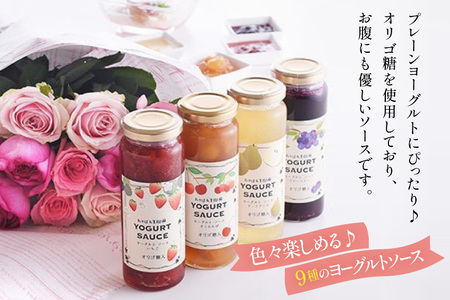 ヨーグルト ソース バラエティー 12本 セット