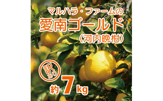 
【 先行予約 】 マルハラファーム 訳あり 河内晩柑 7kg （発送期間: 4月中旬～8月下旬） 事前 予約 受付 みかん かわちばんかん 愛南ゴールド 文旦 グレープフルーツ 和製 7000円 家庭用 おいしい 糖度 愛媛 産地直送 国産 農家直送 果樹園 期間限定 数量限定 特産品 ジュース 人気 限定 愛南 愛媛県 新鮮 果実 さわやか 風味 甘い フルーツ 果物 柑橘 マルハラファーム
