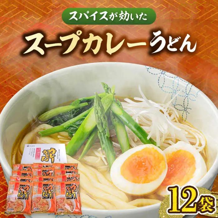 スープカレーうどん 12食入 VAI070 カレーうどん