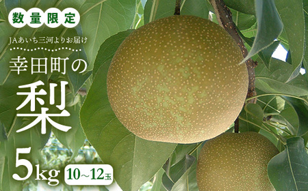 【先行予約】 《数量限定》 幸田町産「梨」5kg（10～12玉）箱入り なし 果物 フルーツ お取り寄せ ※2026年8月中旬～9月下旬頃に順次発送予定 ※着日指定不可 ※北海道・沖縄・離島への発送不可