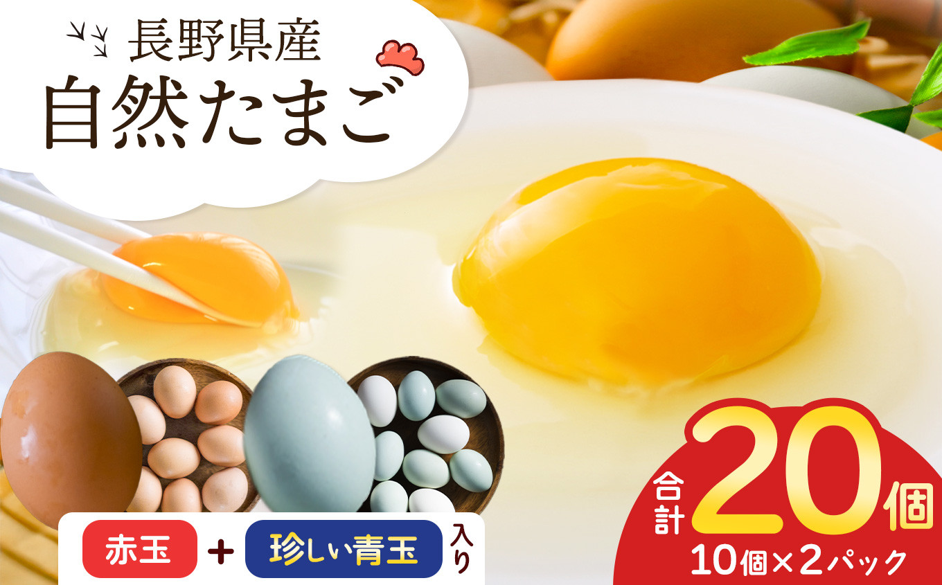 
            放し飼い自然たまご 10個×2パック | 卵 たまご 玉子 放し飼い 自然 塩尻市 長野県 信州
          