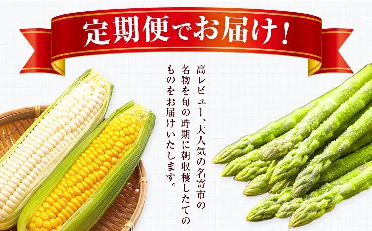 定期便 全2回 旬の夏野菜セット とうもろこし アスパラ 北海道名寄市《2026年8月上旬-2027年5月下旬頃出荷》