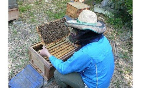 蜂蜜 ハニーボーイ　国産　蜂蜜 3種類セット  