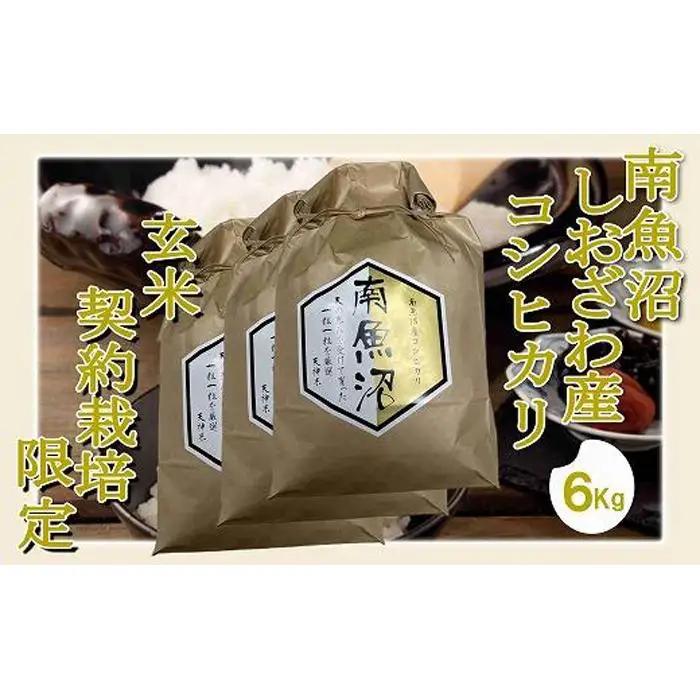 【令和7年産】【玄米６Kg】●玄米● 生産者限定 南魚沼しおざわ産コシヒカリ【銘柄米 ブランド米 玄米 こしひかり コシヒカリ 魚沼産 新潟米 産地直送 お米 米 こめ コメ ご飯 御飯 ごはん】