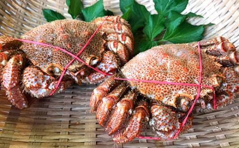 北海道産毛蟹600g前後×2尾 北海道 カニ 毛ガニ 毛蟹 かに かに味噌 急速冷凍 活蟹 活毛蟹 活毛ガニ _F4F-8645