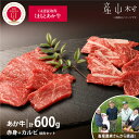 【ふるさと納税】【山の里】くまもと阿蘇あか毛和牛焼肉セット　赤身肉＋カルビ（150g×4パック）【産山村産】 赤身 和牛 牛肉 牛 国産 BBQ あか牛 山の里 人気 ギフト 詰め合わせ 贈り物 お中元 お歳暮 贈答 熊本 阿蘇 産山村 送料無料《60日以内に出荷予定(土日祝除く)》