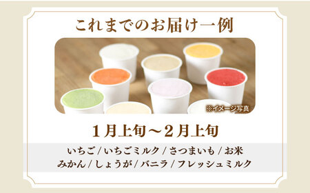 シュシュのジェラート8個セット / アイス あいす アイスクリーム あいすくりーむ ジェラート じぇらーと スイーツ すいーつ / 大村市 / おおむら夢ファームシュシュ[ACAA010]