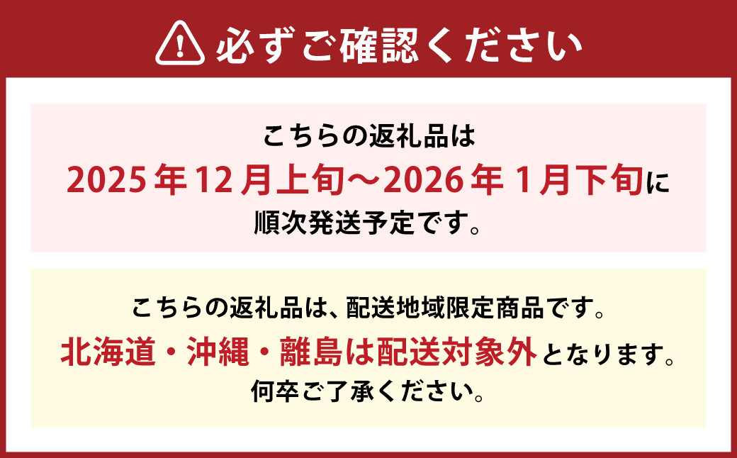 博多あまおう（冬） 2パック