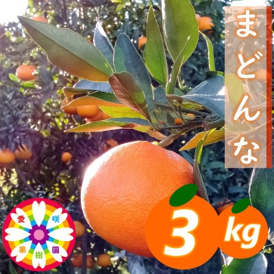 愛咲果樹園「 まどんな 」約3kg【D71−27】【1616835】