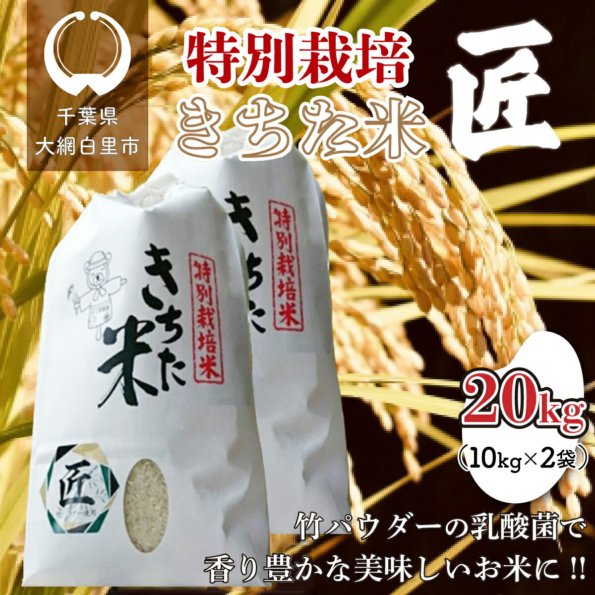 【ふるさと納税】千葉県 大網白里市産 きちた米『匠(たくみ)』 （特別栽培米 コシヒカリ）20kg（10kg×2袋） 特別栽培米 お米 20kg 千葉県産 大網白里市 コシヒカリ 米 精米 こめ 送料無料 J009