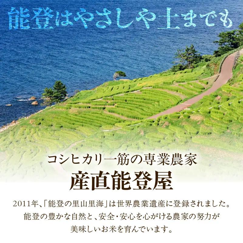 5月発送 R8年産 コシヒカリ 2kg 無洗米 wa084 無洗米 米