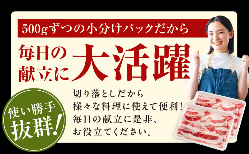 牛バラ肉 切り落とし 1kg【氷温熟成×極味付け 小分け 500g×2P 小分け 焼くだけ 簡単調理】 mrz0381_イメージ4