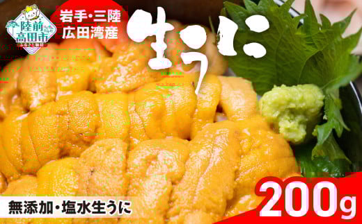 うに 生うに【2026年発送先行予約】 200g ミョウバン不使用　塩水パック 獲れたその日に出荷！ 【 ムラサキウニ 無添加 濃厚 天然　数量限定 三陸産 】 RT1041