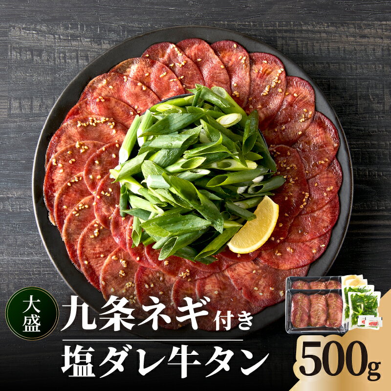 【ふるさと納税】【父の日ギフト】 ≪6月21日お届け≫ 塩ダレ牛タン 大盛九条ネギ 500g 牛タン セット 牛肉 京都九条ネギ 小分け 冷凍 真空パック 薄切りスライス BBQ 京都 牛たん 牛タン塩