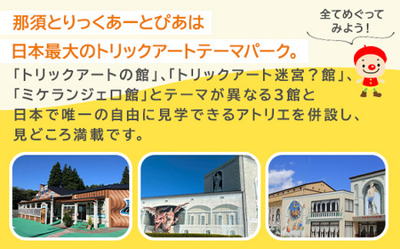 那須とりっくあーとぴあ 2館共通券（大人2人 小人2人）｜ トリックアート チケット 券 入場券 観光 国内旅行 ファミリー 家族 那須 栃木県 那須町〔C-67〕