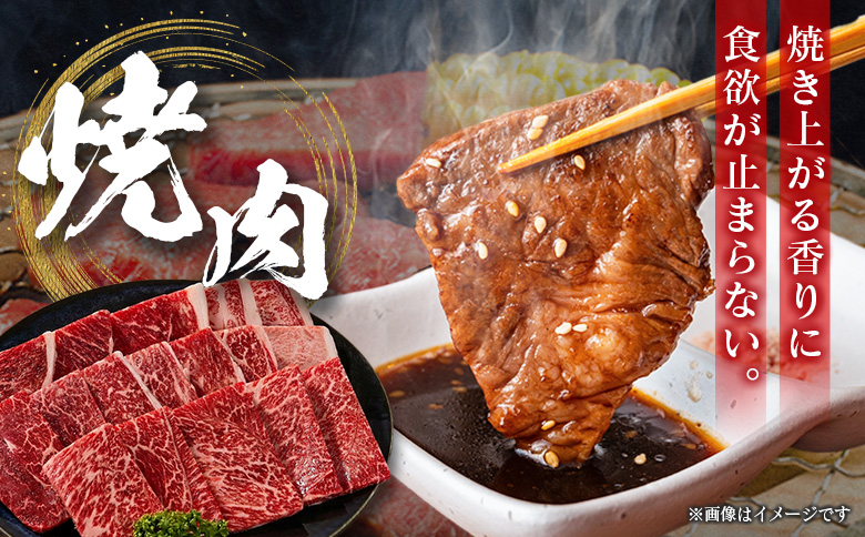 ＜2026年11月お届け＞［訳あり］宮崎県産 黒毛和牛 切り落とし（焼肉）計1.5kg 国産 牛肉【D162-Y-11】 （焼肉）計1.5kg【2026年11月お届け】