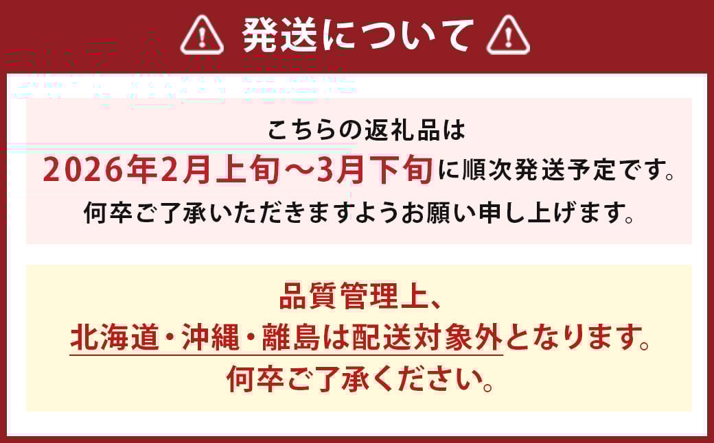 いちご「あまおう」＜約270g×4パック＞