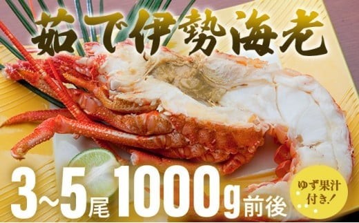 
                  伊勢海老（ボイル）1,000g前後 ｜国産 東洋町産 海鮮 ゆず果汁付き 茹で ボイル 甘み 旨味 四国 お取り寄せ お祝い 記念日 贈り物 送料無料 S171
                