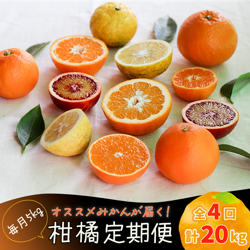 柑橘定期便 全4回 【2026年12月下旬頃から順次発送】5kg × 4回 計20kg 品種おまかせ | 家庭用 みかん 温州 蜜柑 ミカン 果物 フルーツ 定期便 旬 季節限定 数量限定 NPO法人
